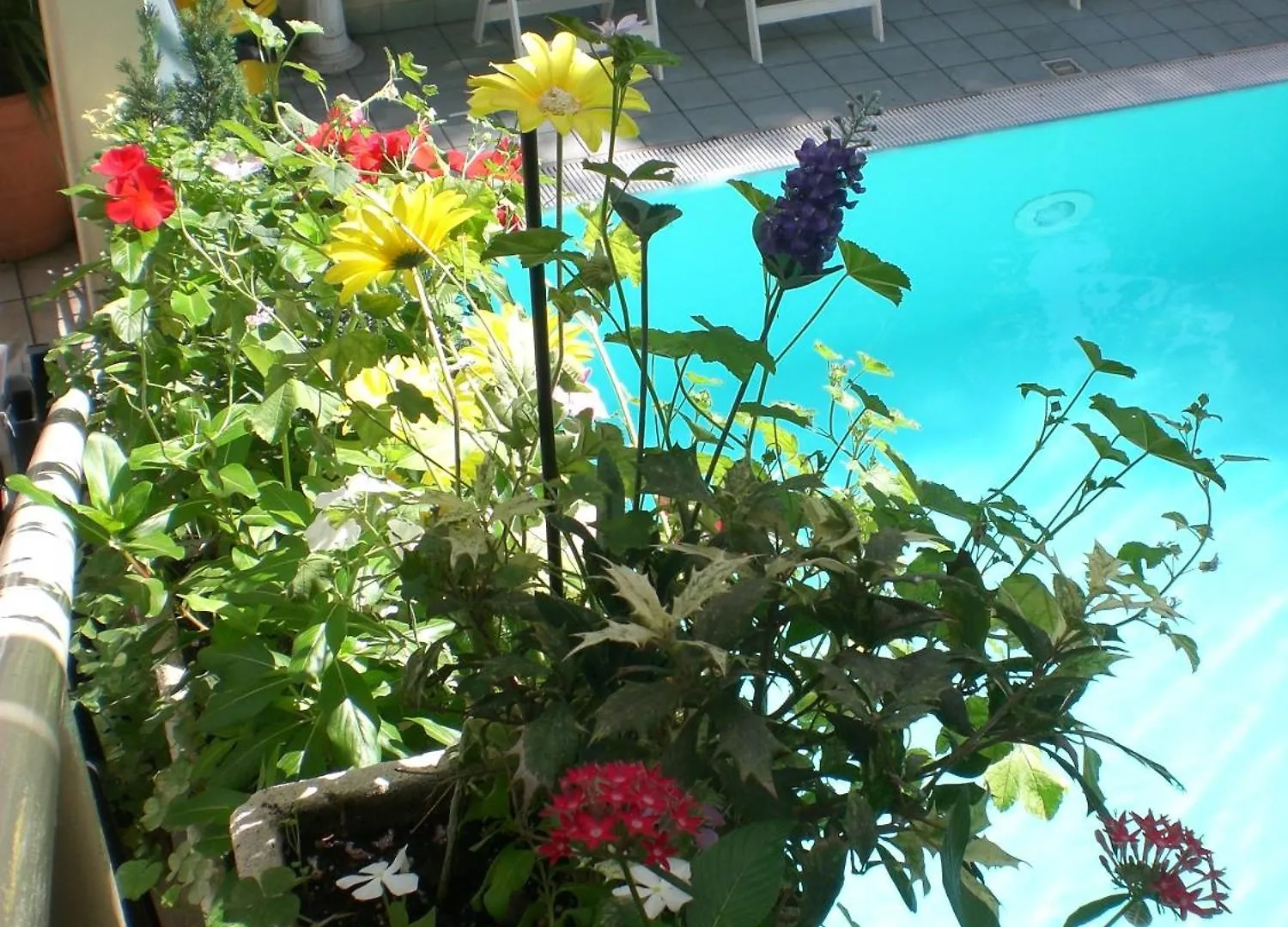 Hotel Arno Rimini 3*,